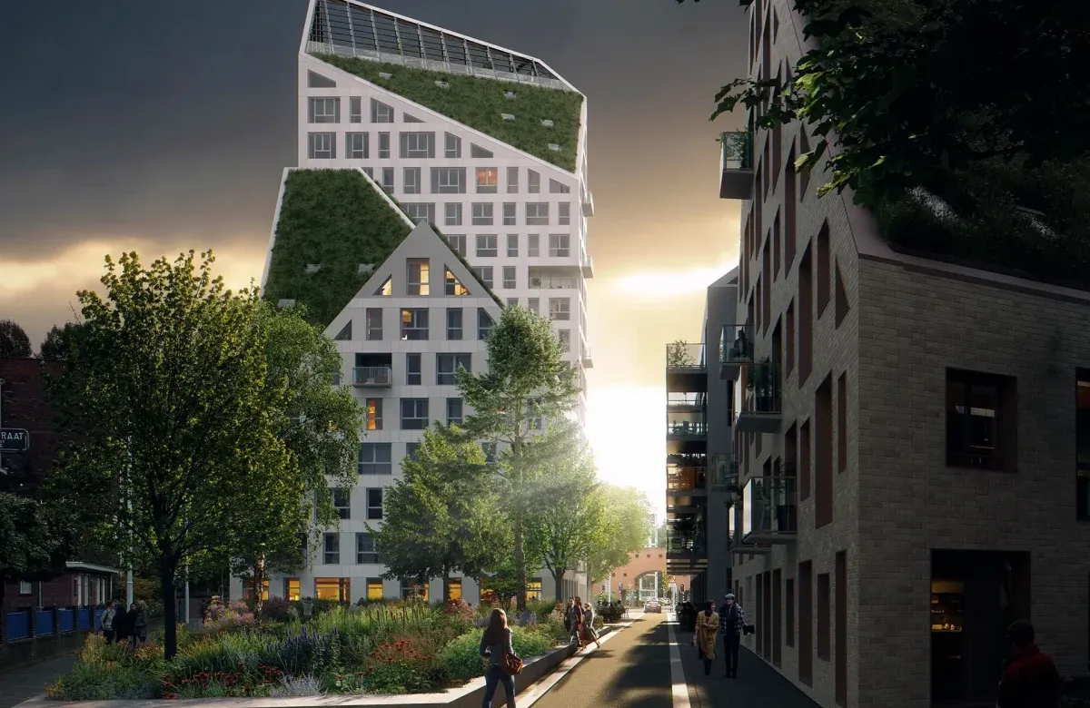 NIEUW BERGEN