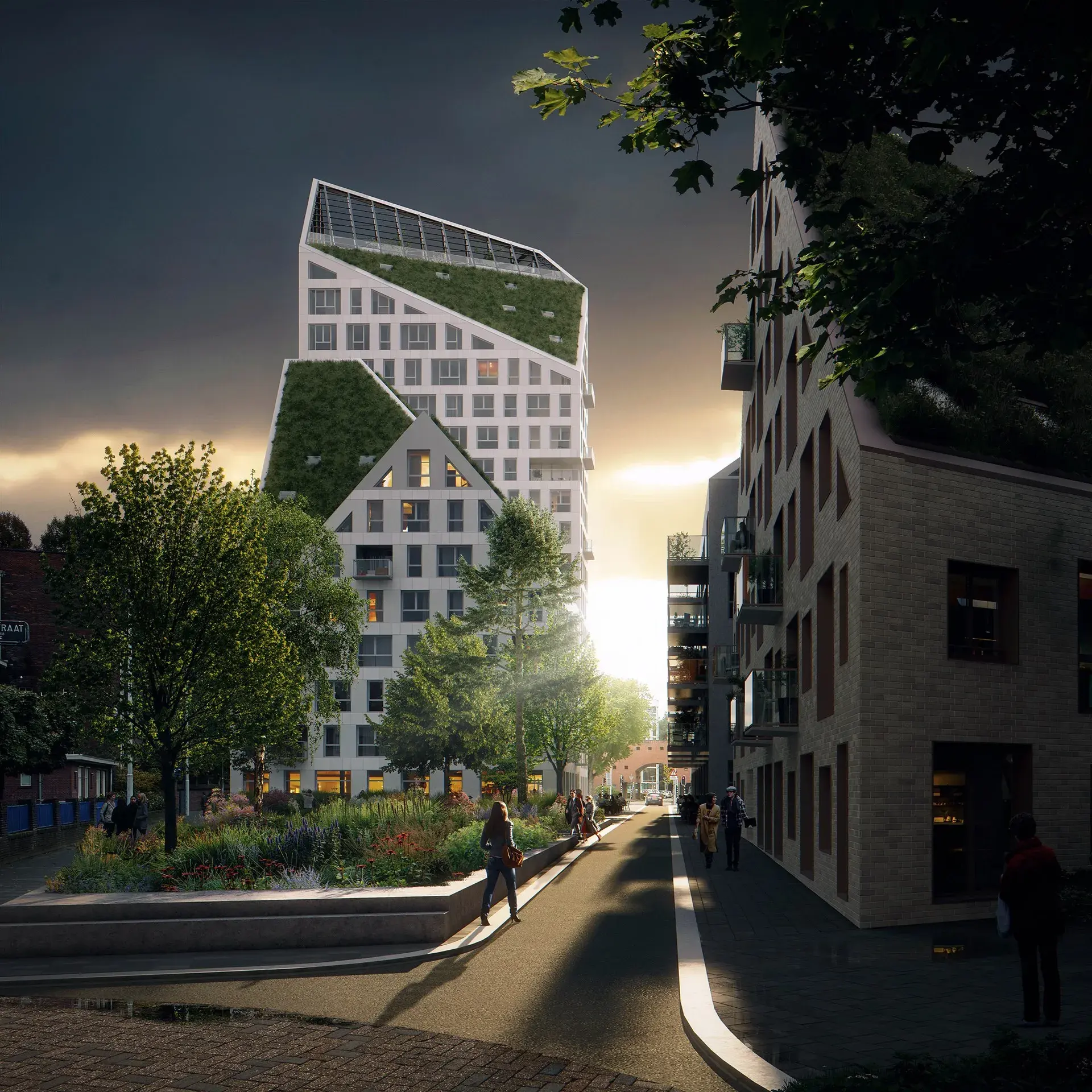 Nieuw Bergen